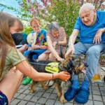 Canisterapie pomáhá našim seniorům zlepšit náladu i koordinovat pohyby